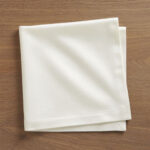 Cloth Napkin